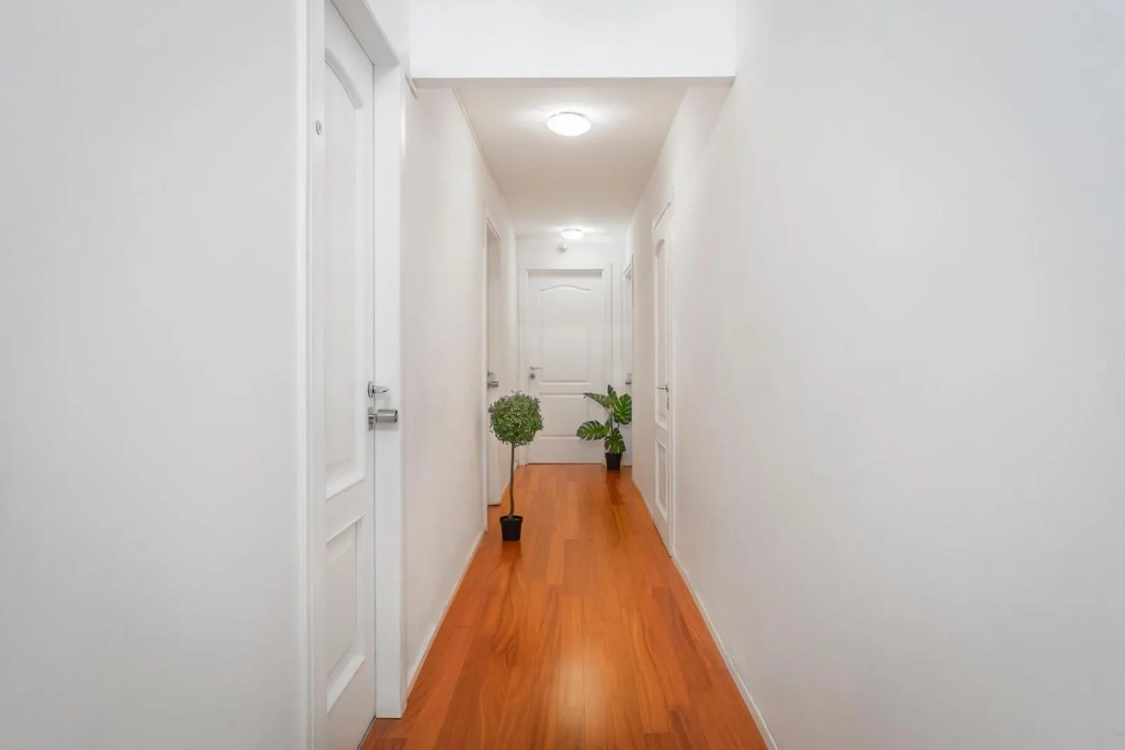 New! Lovely & Friendly In Milan Center A Apartment